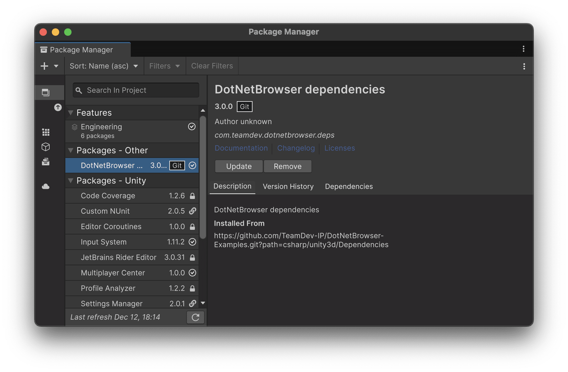 已安装 DotNetBrowser 依赖项软件包的程序包管理器。