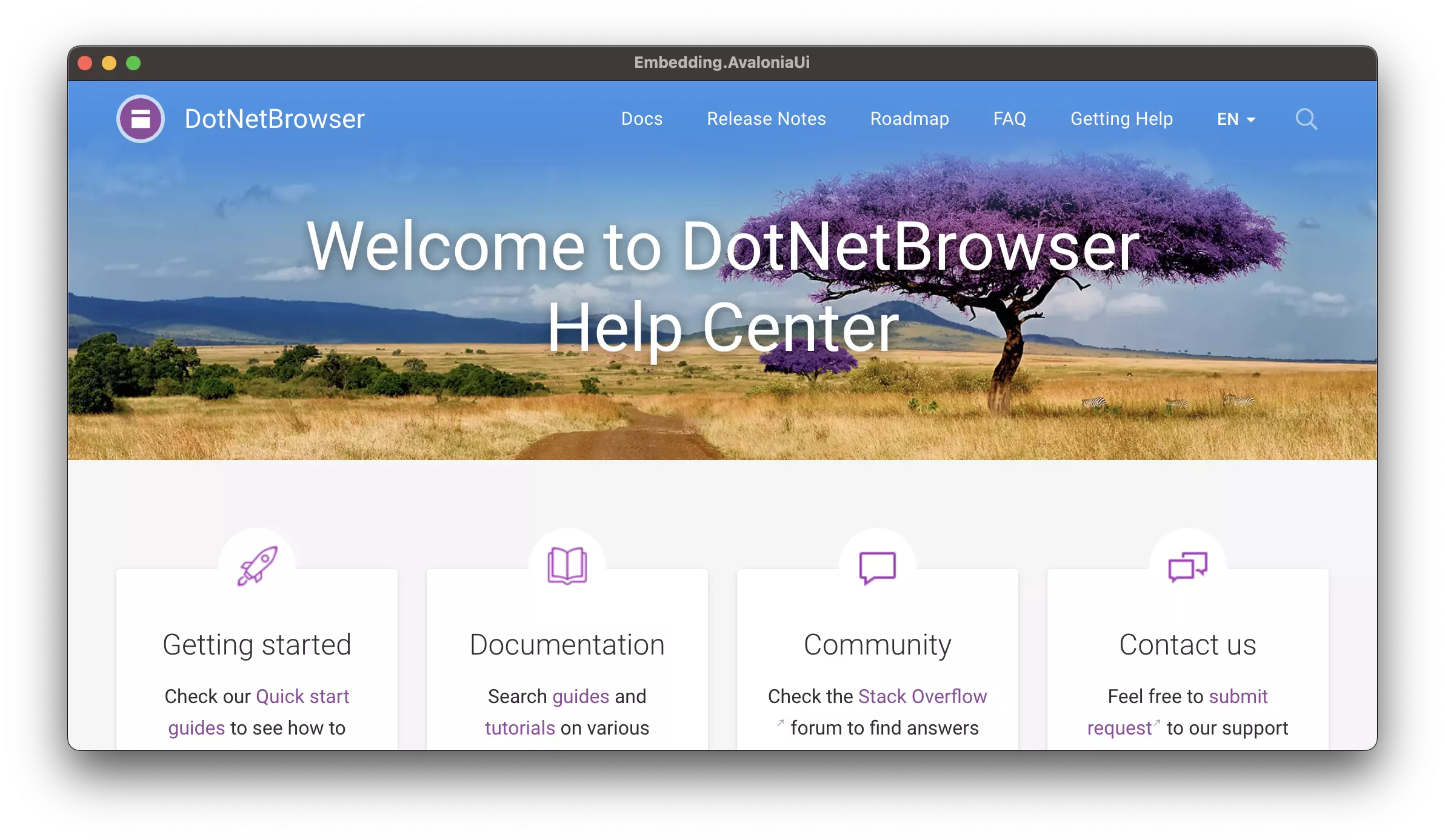 macOS 上的 DotNetBrowser 和 Avalonia 应用