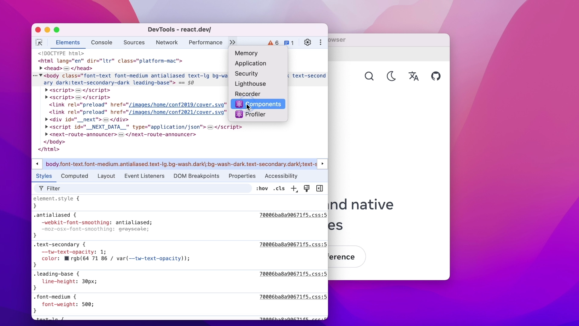 带有 React 扩展的 DevTools 截图