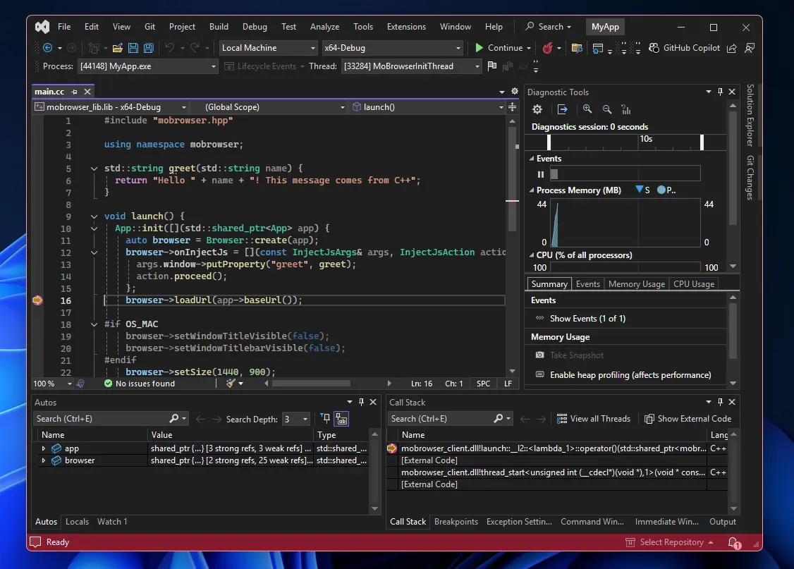 Visual Studio debug session